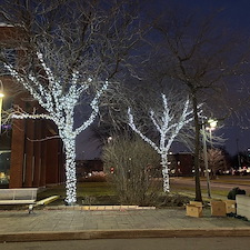 Professional-Christmas-Lighting-Installation-For-Your-Montreal-Commercial-Properties 0
